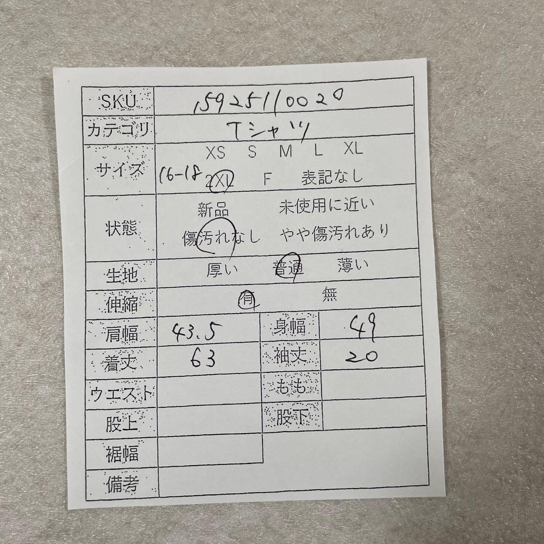 【美品】Patagonia 半袖Tシャツ ロゴプリント サイズ2XL オレンジ