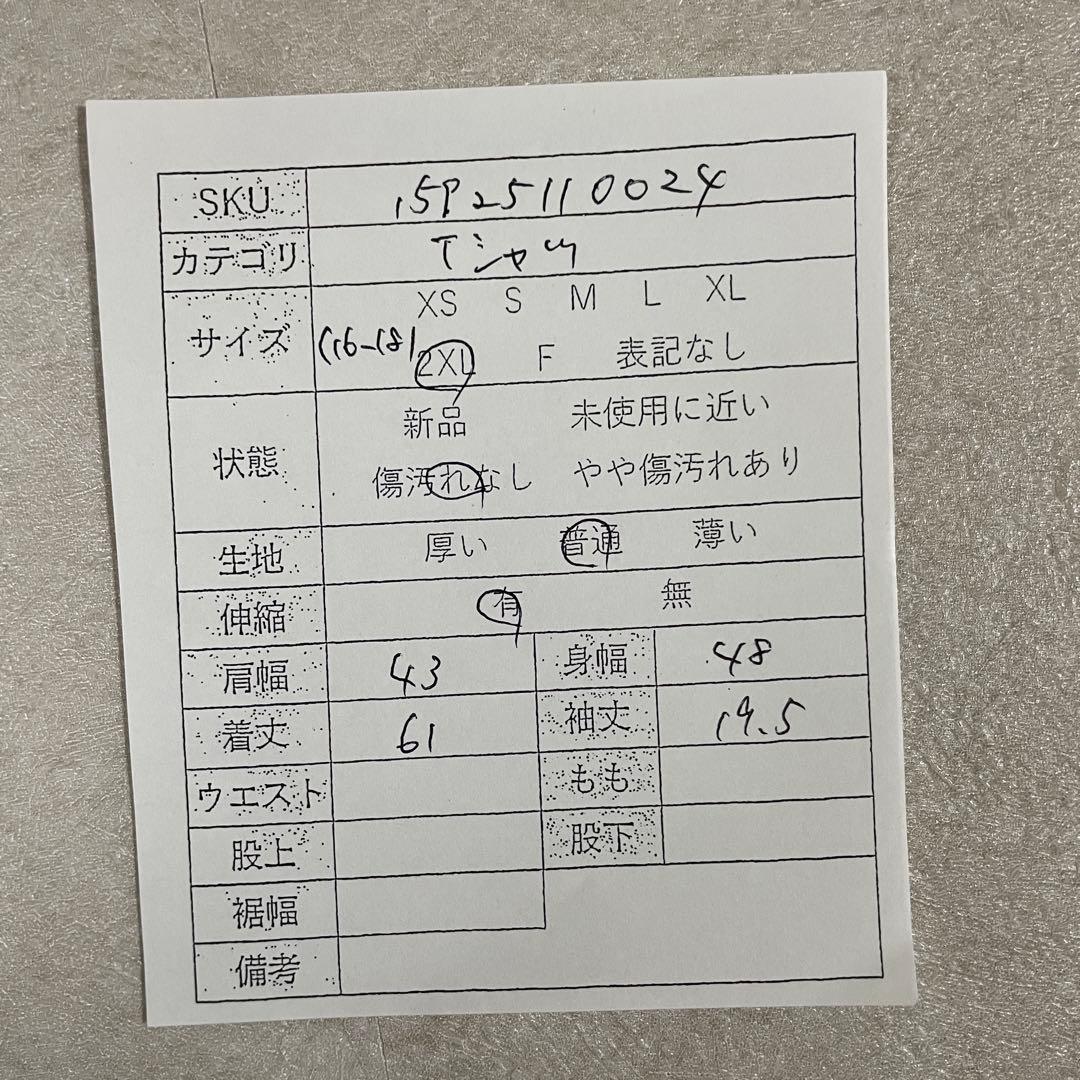 【美品】Patagonia 半袖Tシャツ サイズ2XL パープル