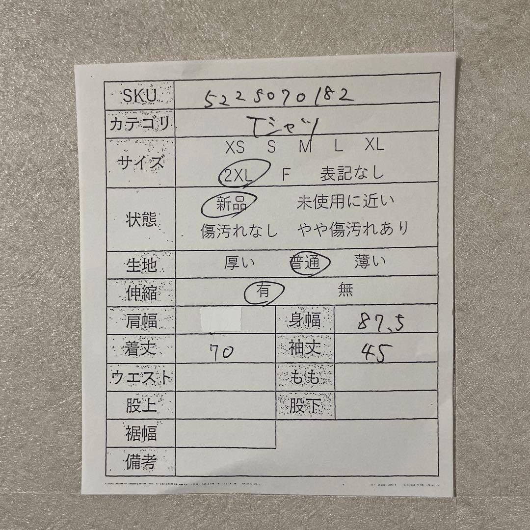 【新品未使用タグ付】carhartt クルーネック Tシャツ 水色 2XL