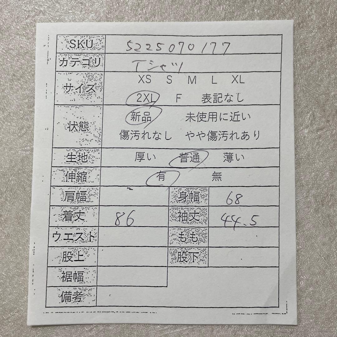 【新品未使用タグ付】Carhartt ホワイト Tシャツ 2XL サイズ