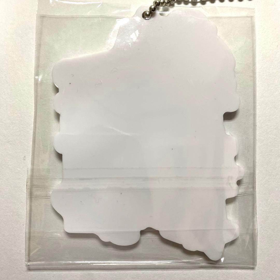 【新品未開封】ポケットモンスター イッシュ地方 アクリルチャームコレクション(画像 4/4)