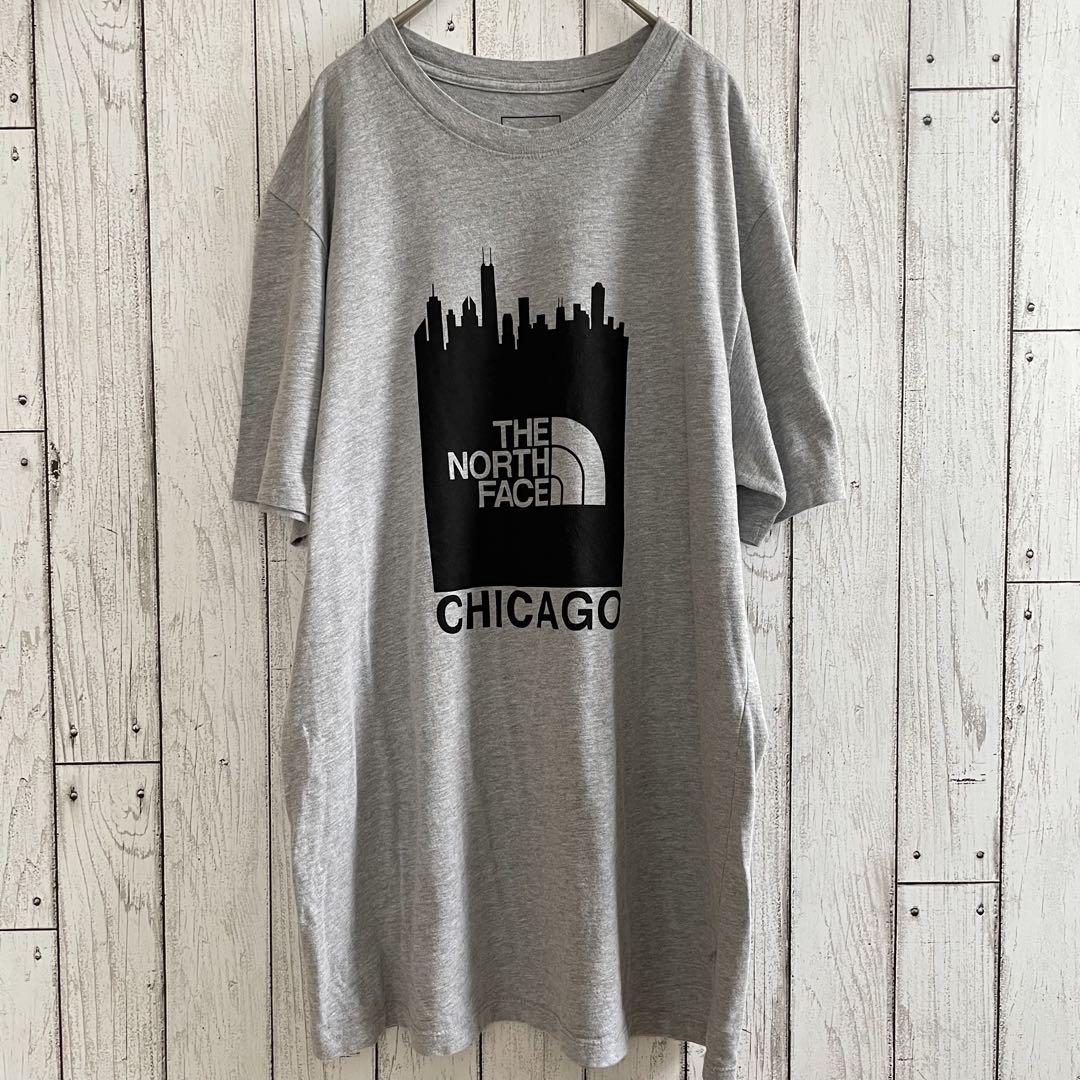 THE NORTH FACE 半袖Tシャツ シカゴ Lサイズ グレー