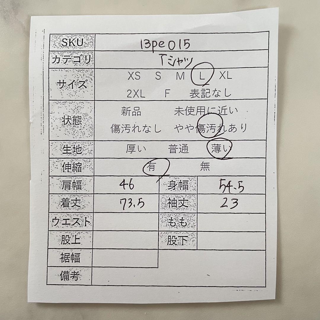 THE NORTH FACE 半袖Tシャツ シカゴ Lサイズ グレー