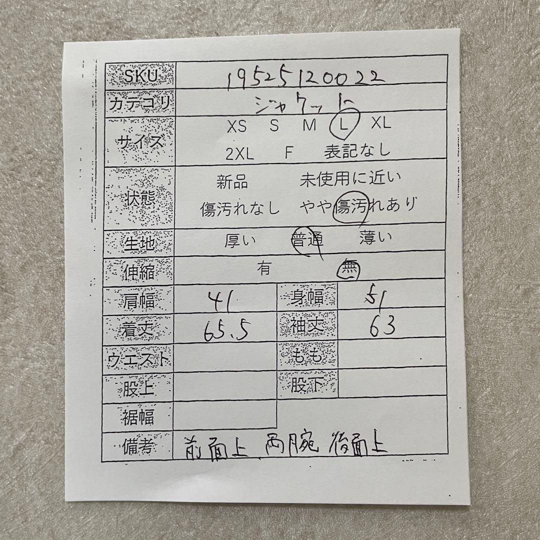 古着 THE NORTH FACE マウンテンパーカー DRYVENT L