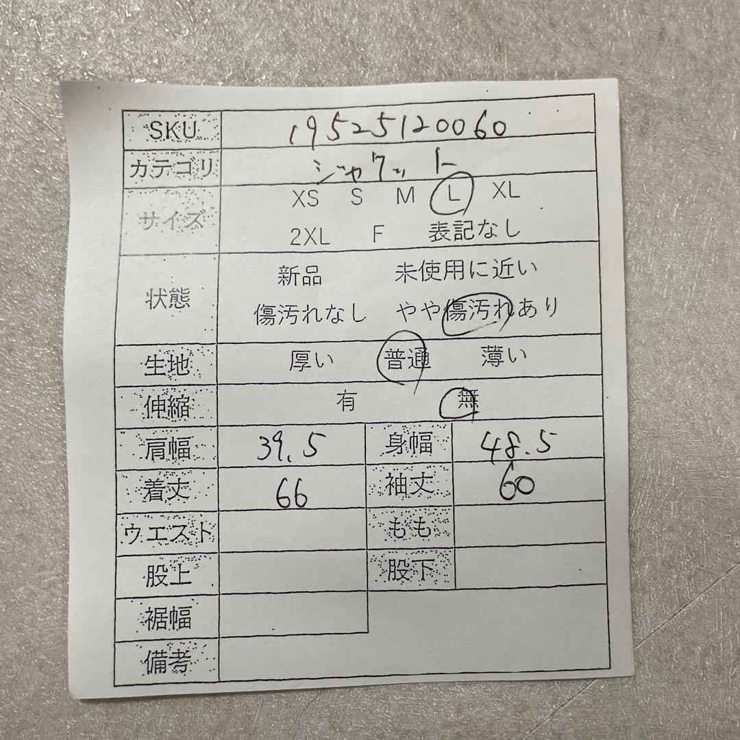 古着 THE NORTH FACE マウンテンパーカー DRYVENT L