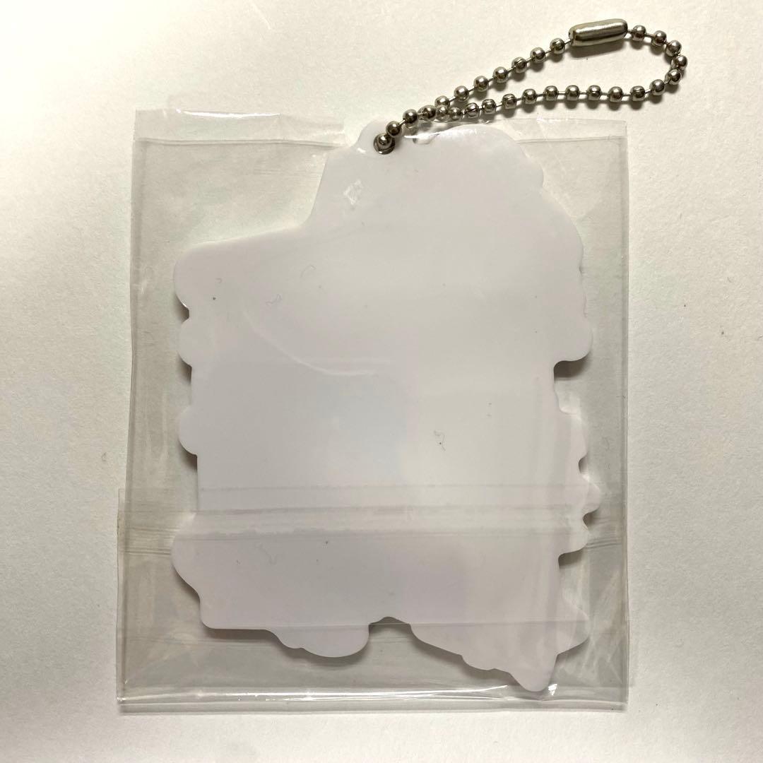 【新品未開封】ポケットモンスター イッシュ地方 アクリルチャームコレクション（画像 3/4）