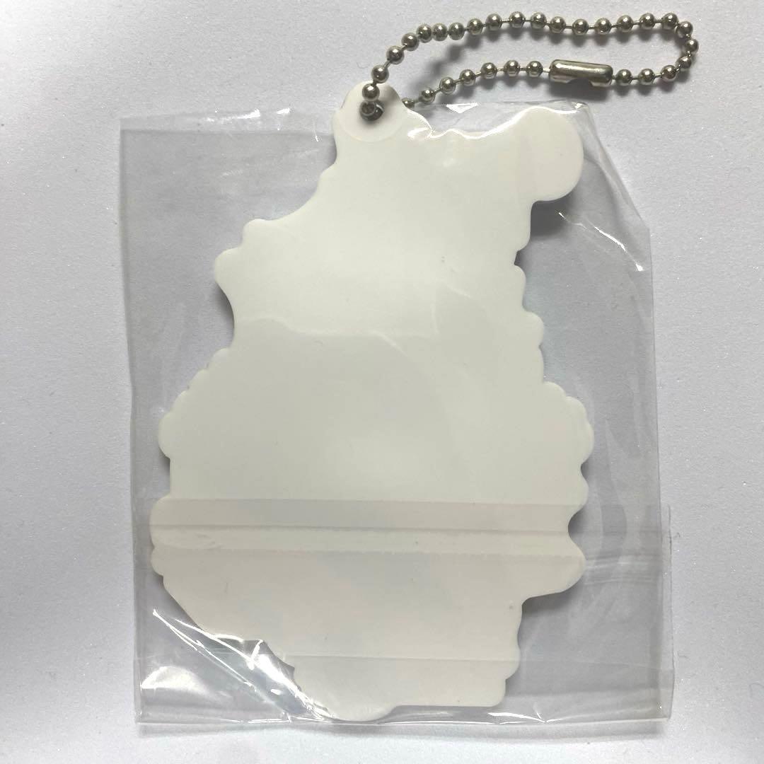 【新品未開封】ポケットモンスター シンオウ地方 アクリルチャームコレクション（画像 3/4）