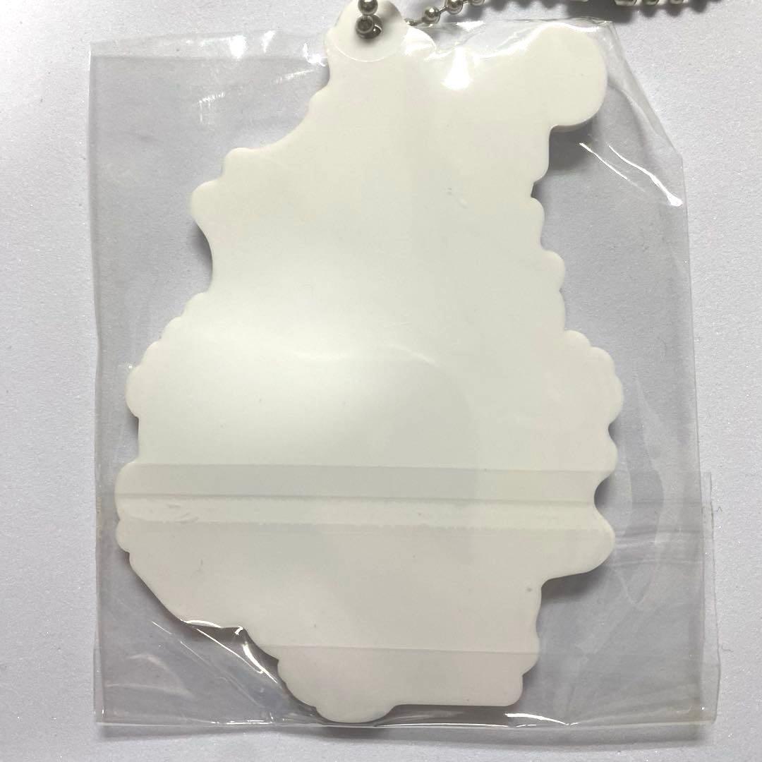 【新品未開封】ポケットモンスター シンオウ地方 アクリルチャームコレクション（画像 4/4）