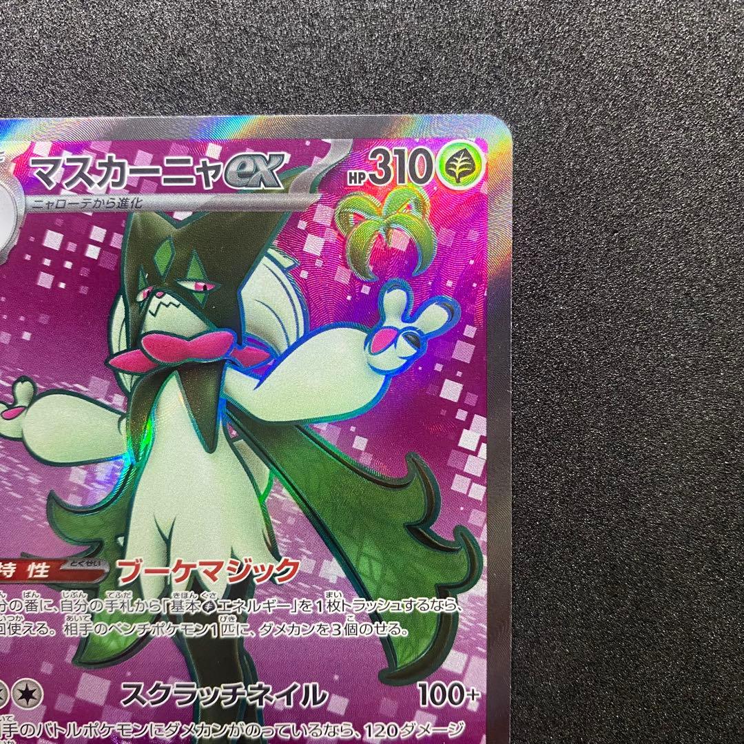 ポケモンカード ニャオハ マスカーニャ2枚セット（画像 12/18）