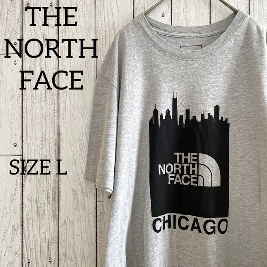 THE NORTH FACE 半袖Tシャツ シカゴ Ｌサイズ グレー