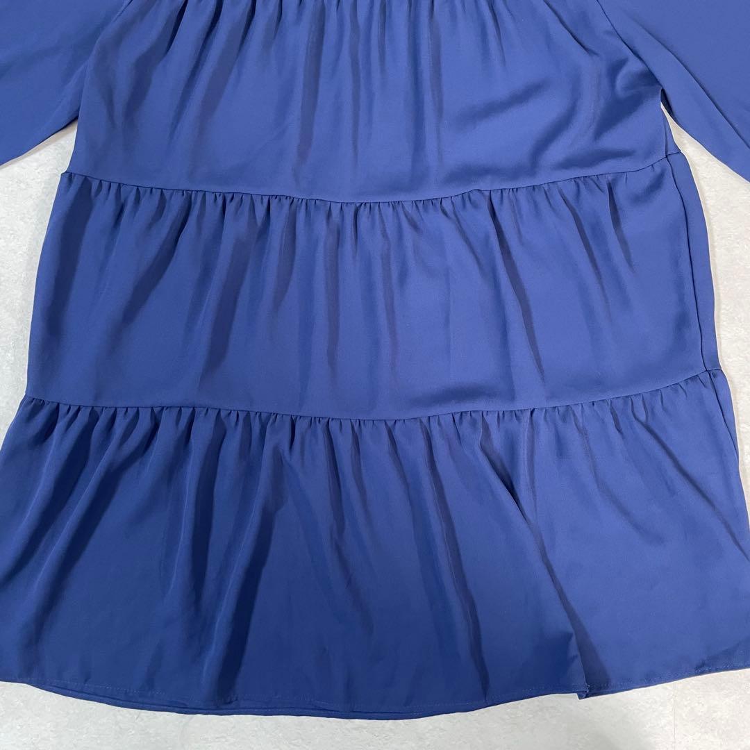 【新品未使用タグ付】 Reveur blanche 長袖チュニックブラウス F（画像 6/13）