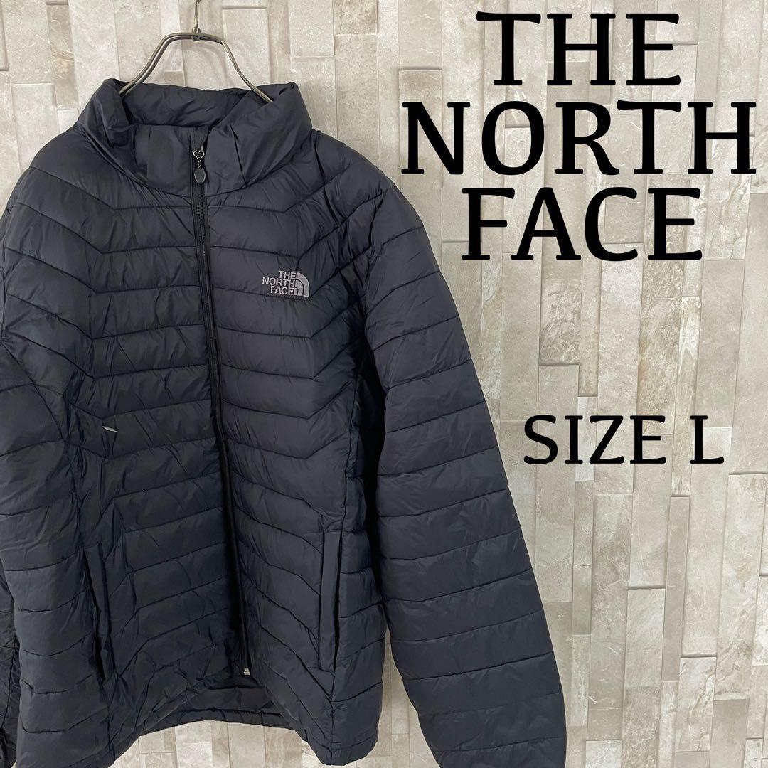 THE NORTH FACE ダウンジャケット RAINTEX 黒 L
