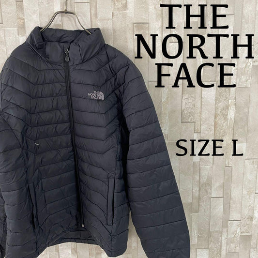 THE NORTH FACE ダウンジャケット RAINTEX 黒 L
