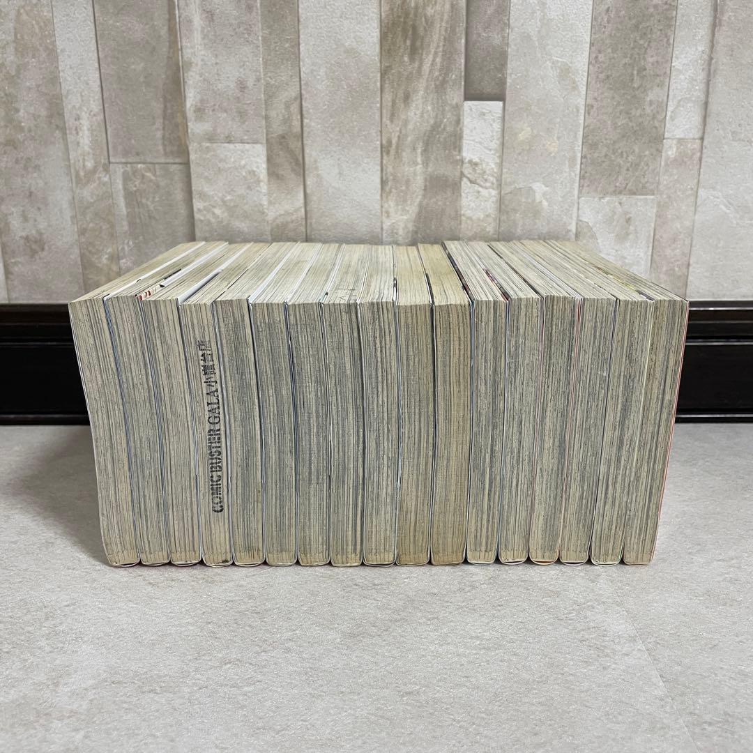 【特価！在庫処分】ホタルノヒカリSP全巻＋ホタルノヒカリ1-2、7-15巻セット（画像 8/10）