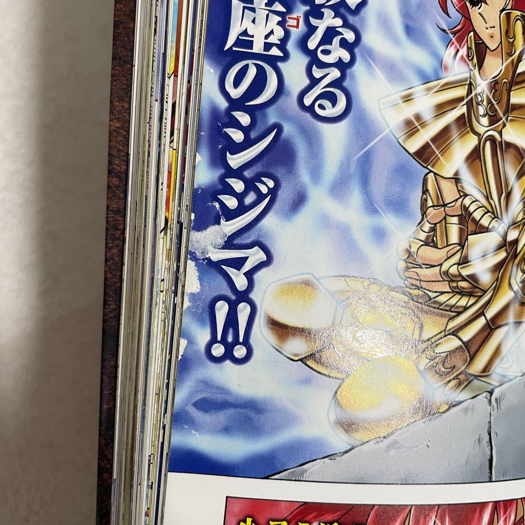 【特価】聖闘士星矢 NEXT DIMENSION 冥王神話 1-12巻セット（画像 11/13）
