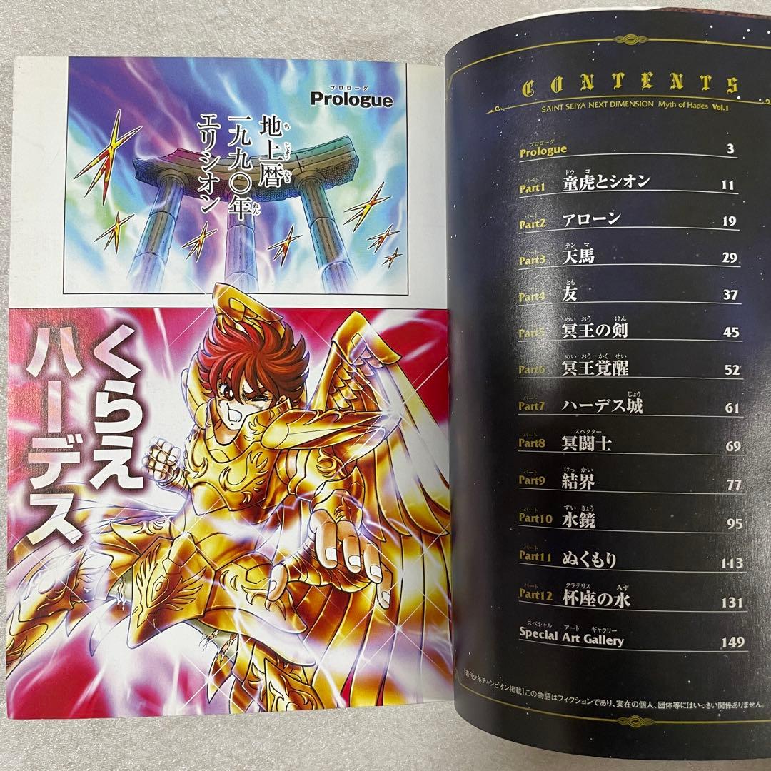 【特価】聖闘士星矢 NEXT DIMENSION 冥王神話 1-12巻セット（画像 9/13）