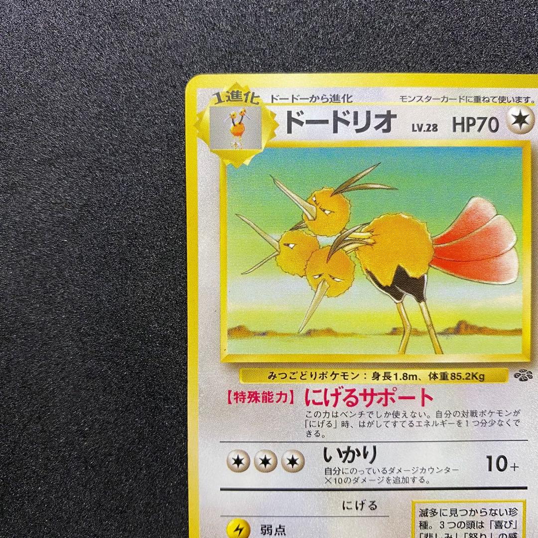 【旧裏面2枚セット】 ドードー ドードリオ ポケモンカード 第1,2弾拡張パック（画像 11/18）