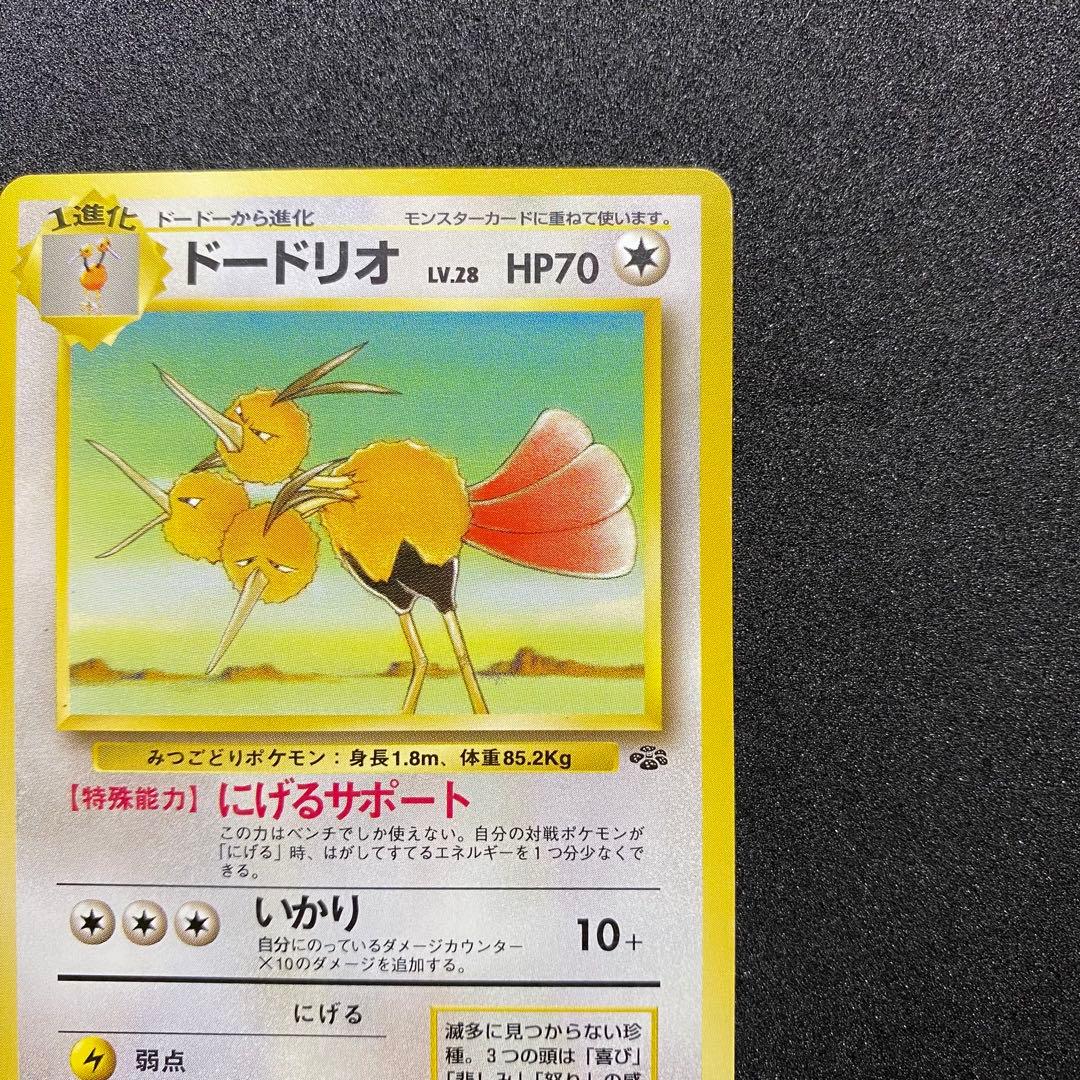 【旧裏面2枚セット】 ドードー ドードリオ ポケモンカード 第1,2弾拡張パック（画像 12/18）